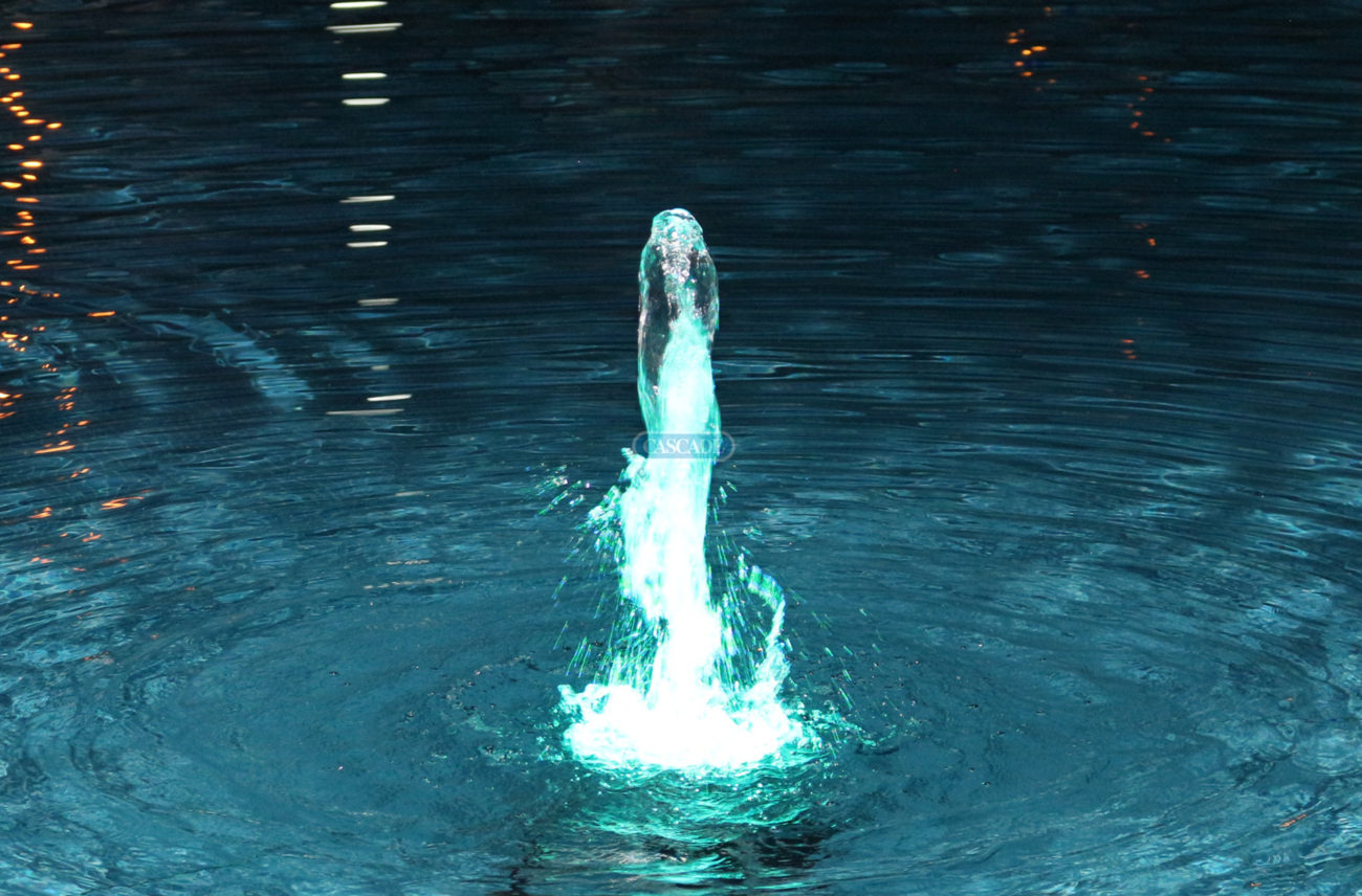 Mizar 24 RGBW-Ring underwater LED Cascade - fountain light